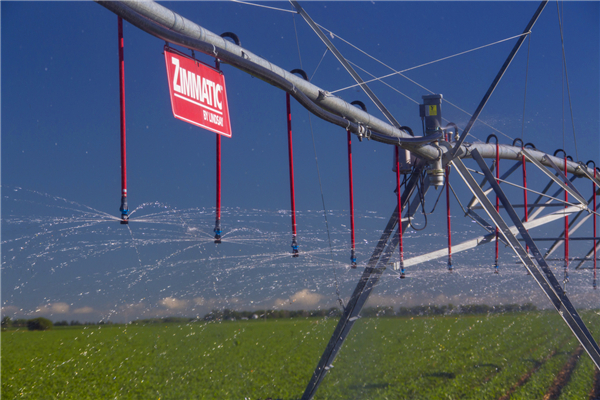 D3000 Type Sprinkler