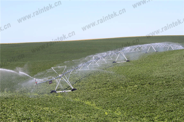 Pivot Impact Sprinkler