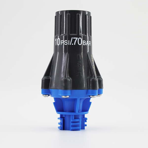 Nelson Type Pressure Regulator